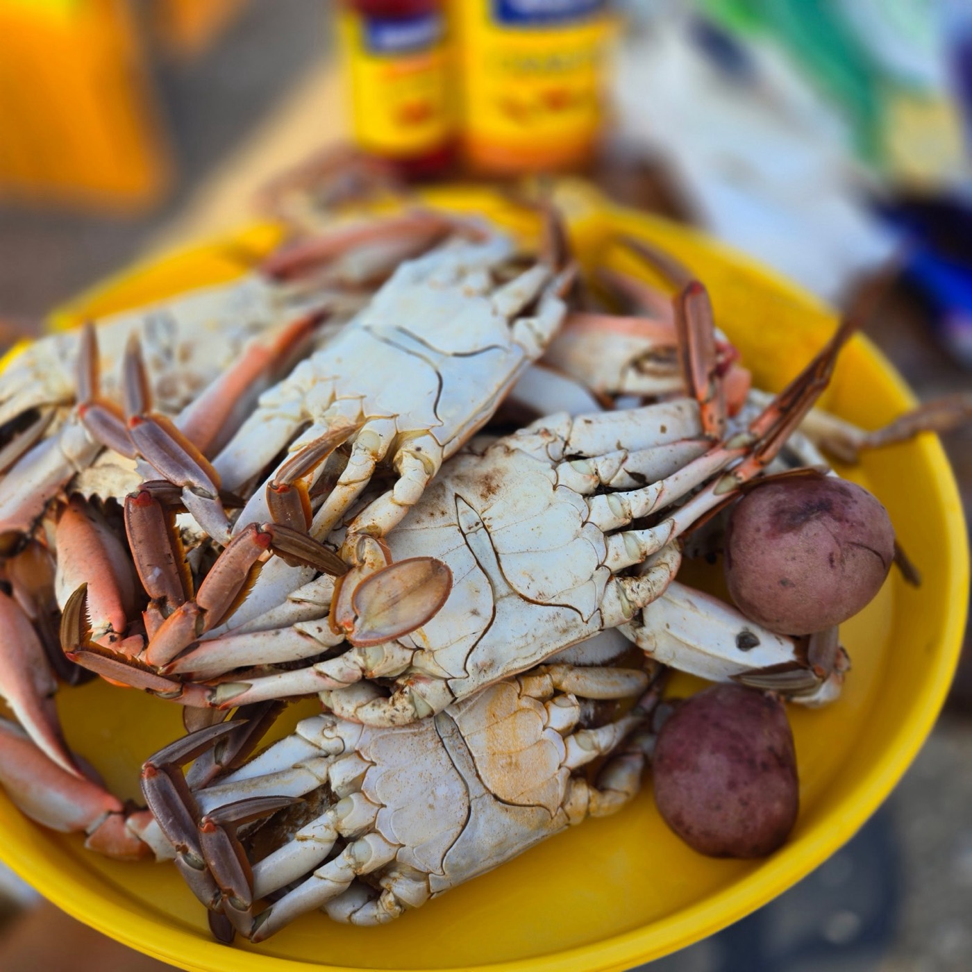 Louisiana seafood boil with blue crabs served on a cruise