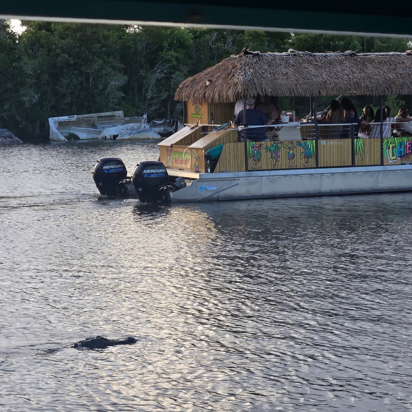 Tiki party boat cruising the bayou with an alligator visible in the water